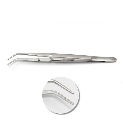 Endodontic Instrument